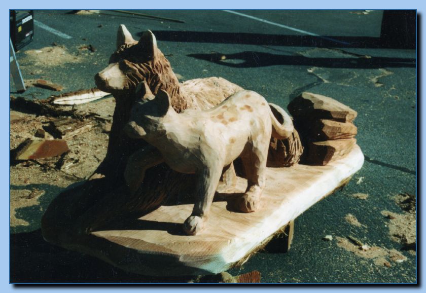 2-11a wolf and cat-archive-0004
